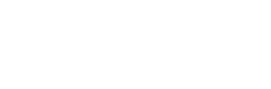 United Texas Logo White